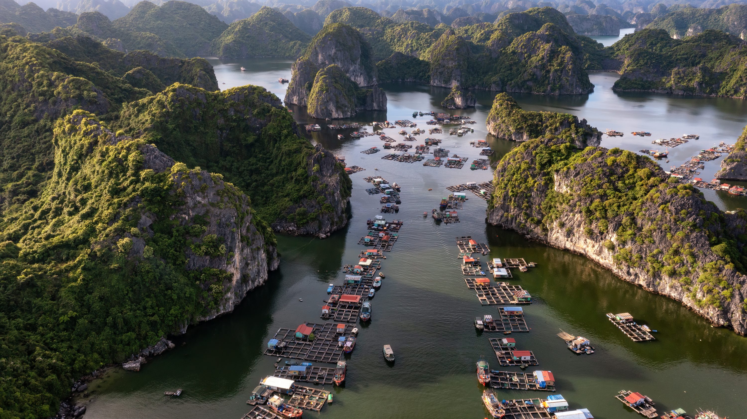 Cruise on Lan Ha Bay from Hanoi scaled